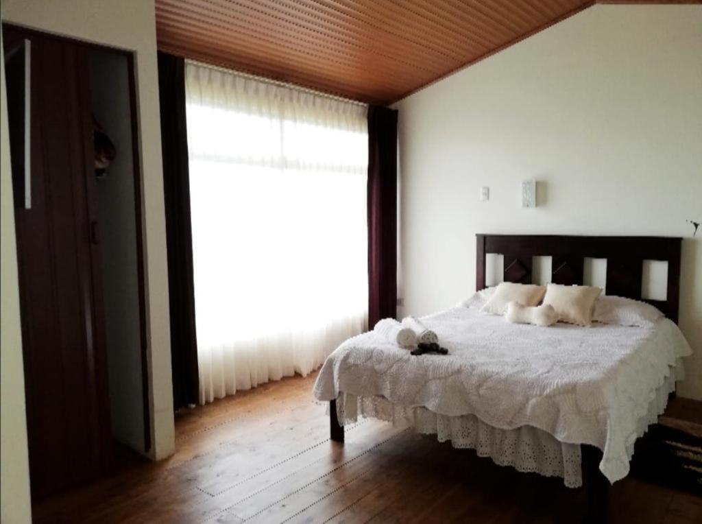 Hotel Vistas Del Cielo Cartago Exterior foto